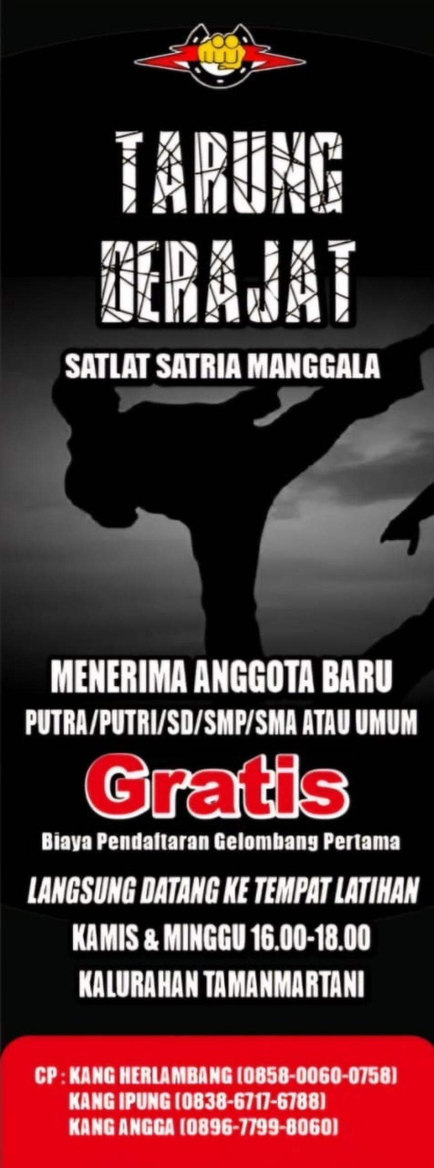 logo desa